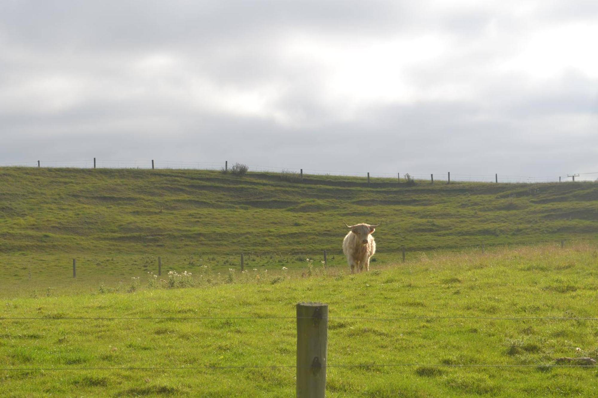 Highlands On Homestead Оамару Екстериор снимка