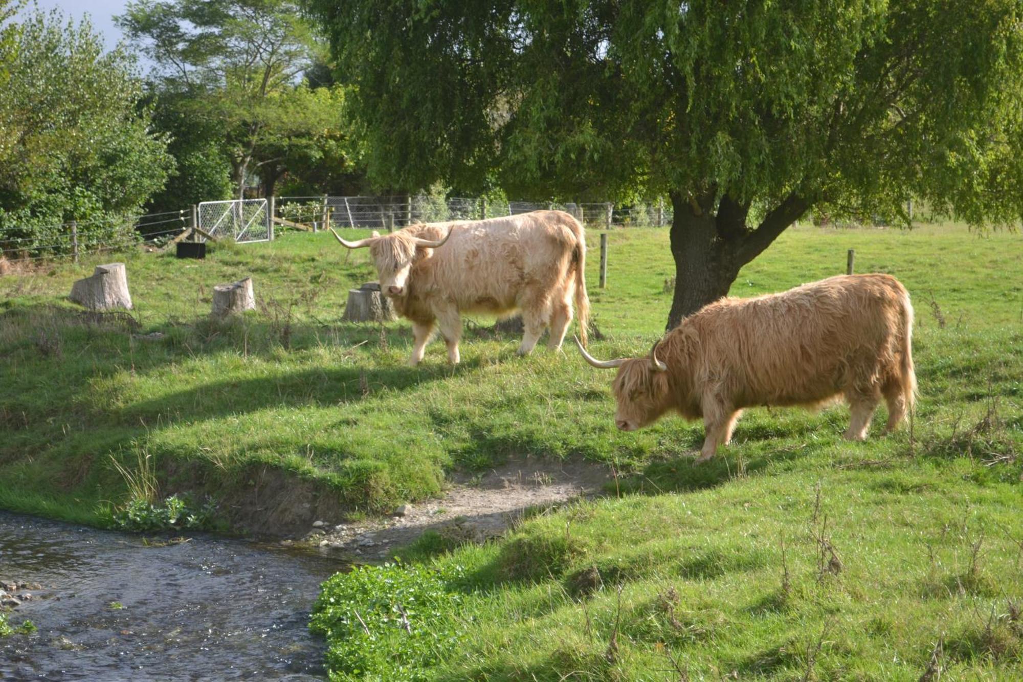 Highlands On Homestead Оамару Екстериор снимка