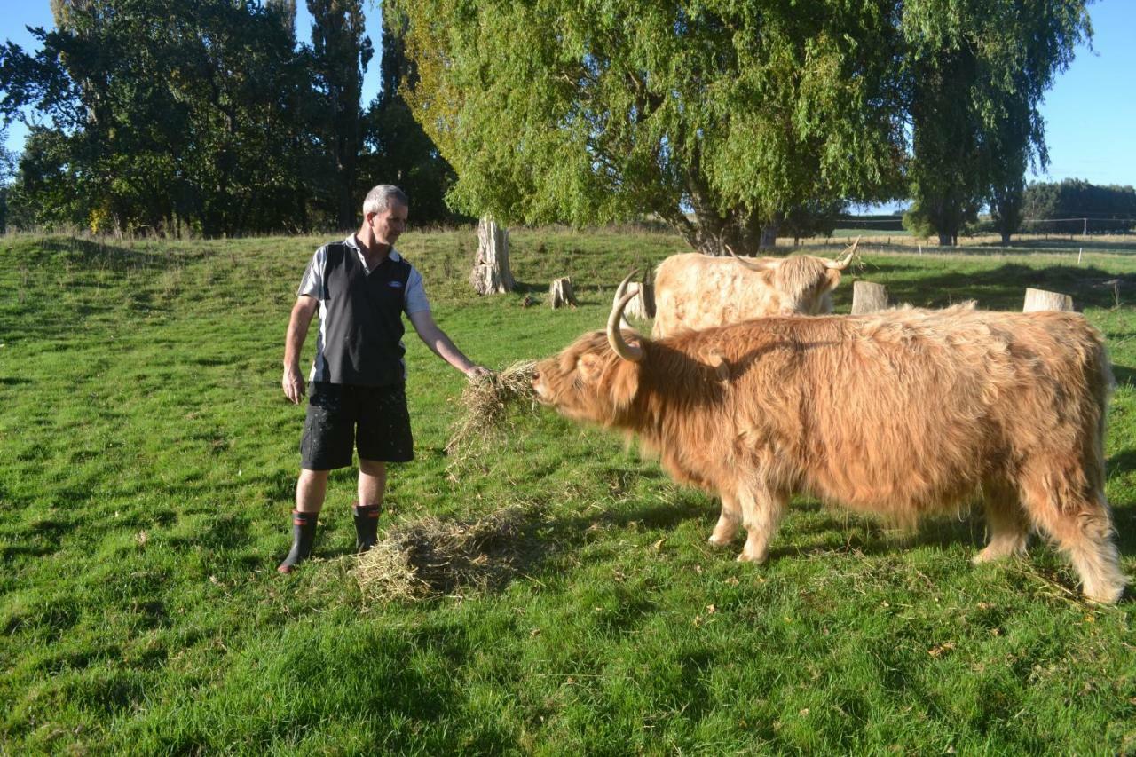Highlands On Homestead Оамару Екстериор снимка